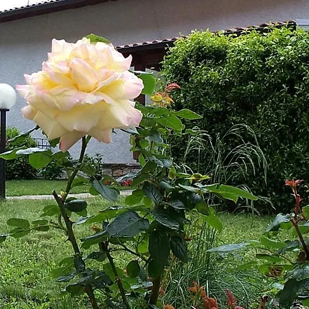 Haus Rosa Bellavista * Musignano (Lombardy)